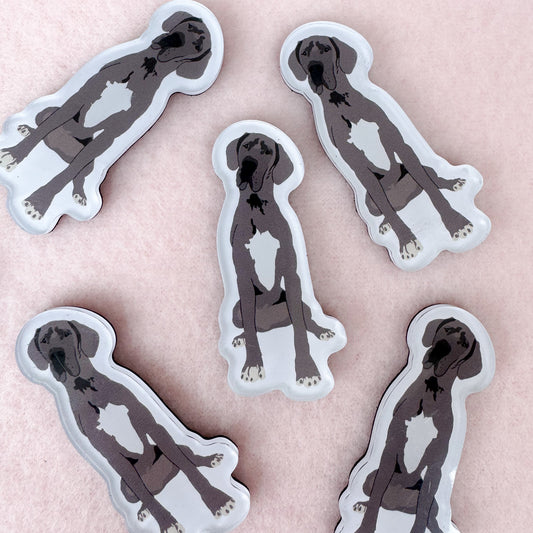 Great Dane (gray) Magnet
