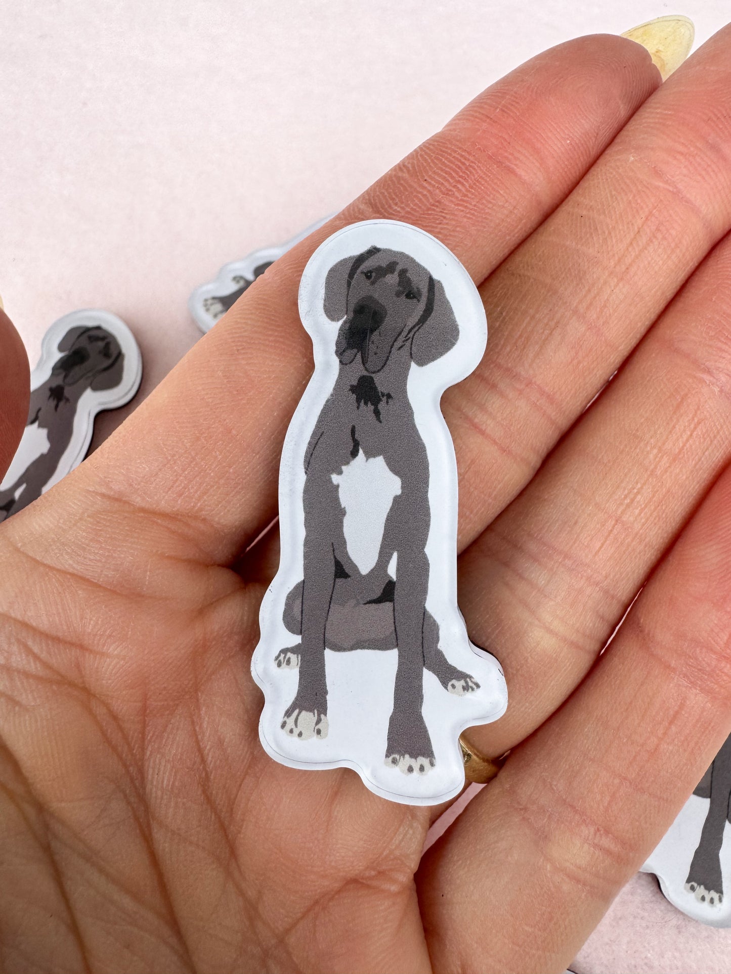 Great Dane (gray) Magnet