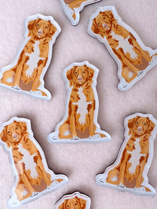Nova Scotia Duck Tolling Retriever Magnet
