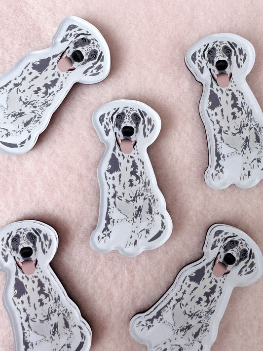 Great Dane (blue merle) Magnet