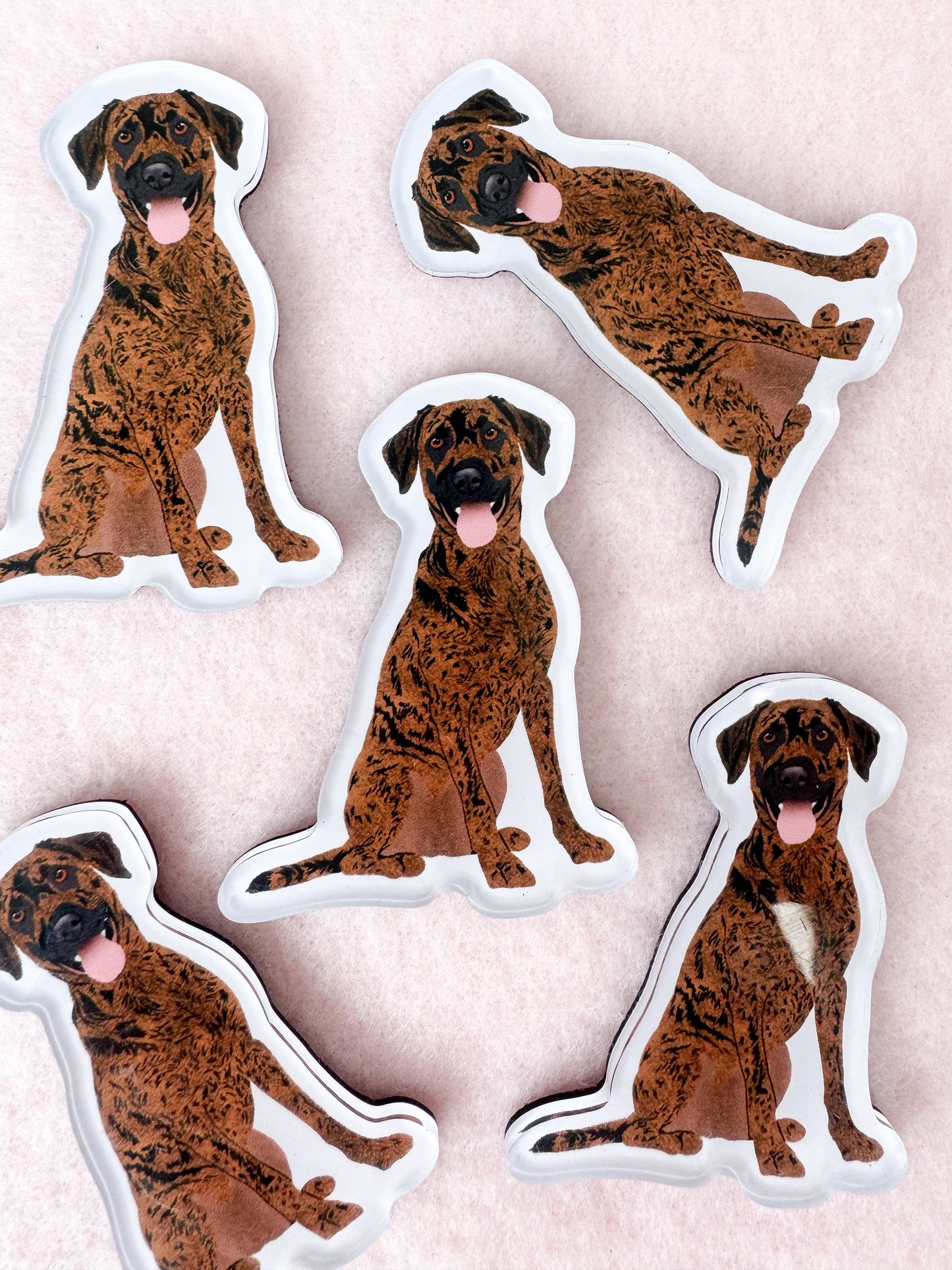 Plott Hound Magnet