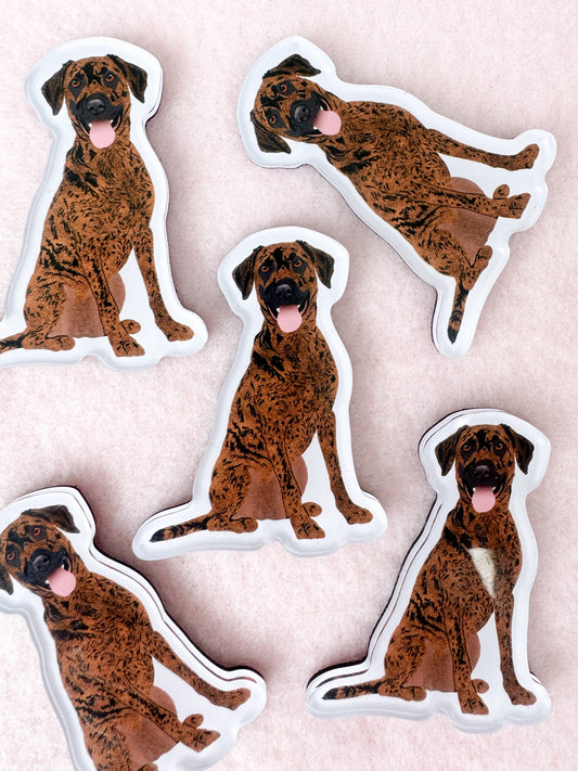 Plott Hound Magnet
