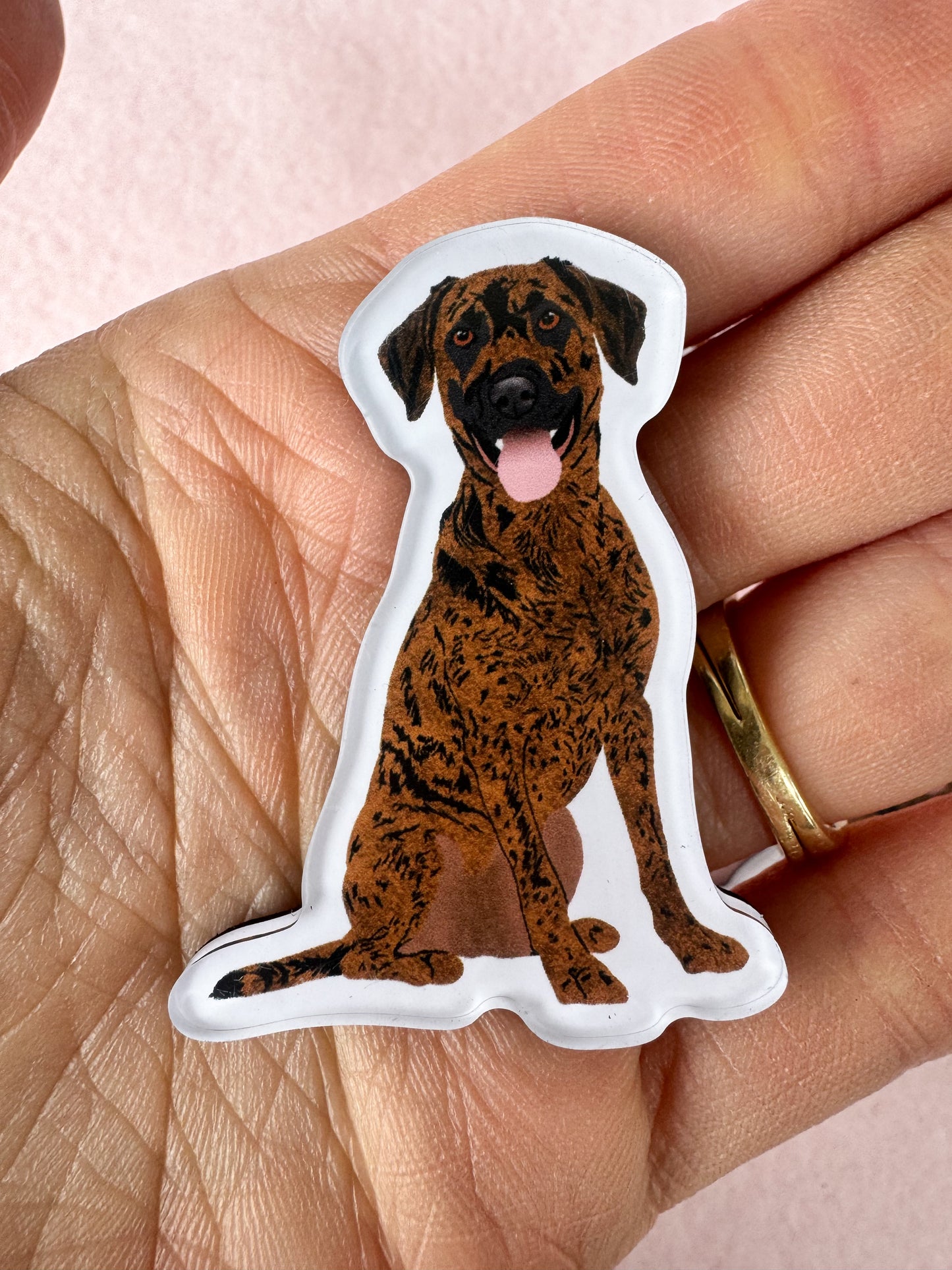 Plott Hound Magnet