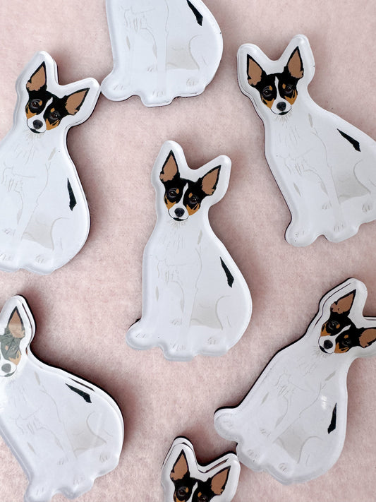 Rat Terrier, Toy Fox Terrier Magnet