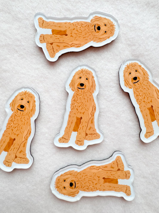 Goldendoodle (blonde), Labradoodle (blonde) Magnet