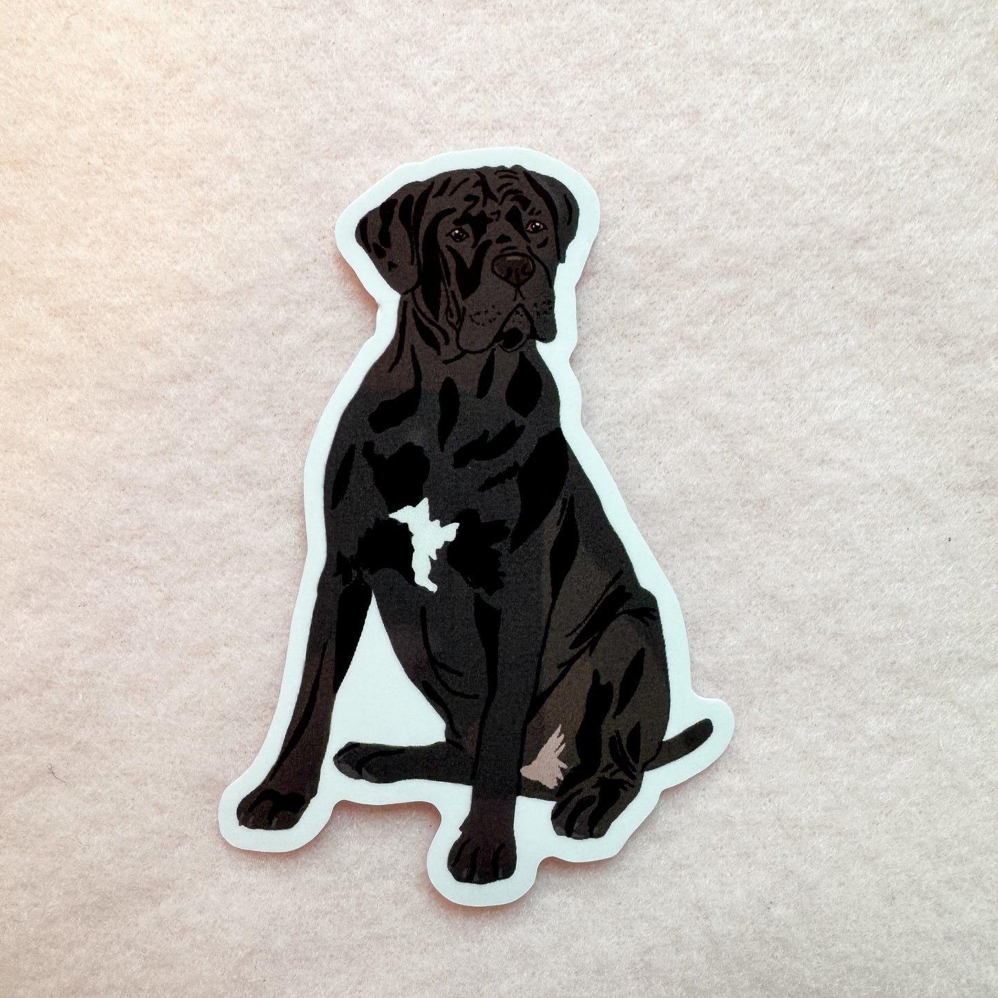 Cane Corso (natural ears), Italian Mastiff Sticker