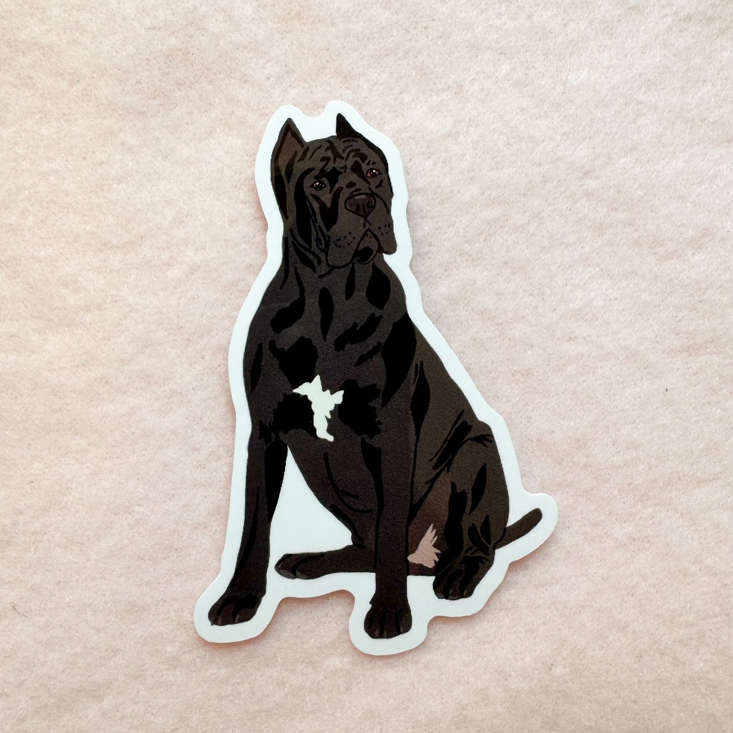 Cane Corso (cropped ears), Italian Mastiff Sticker