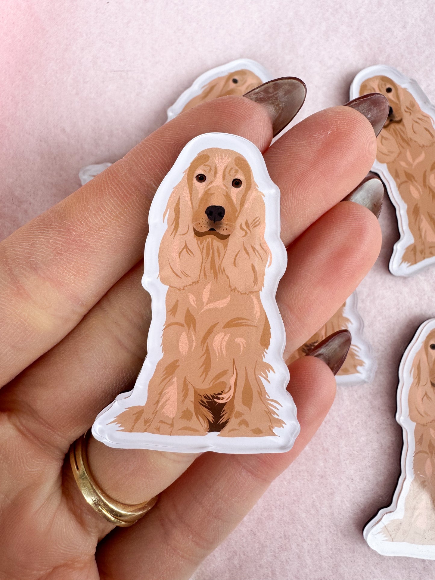English Cocker Spaniel (blonde) Magnet