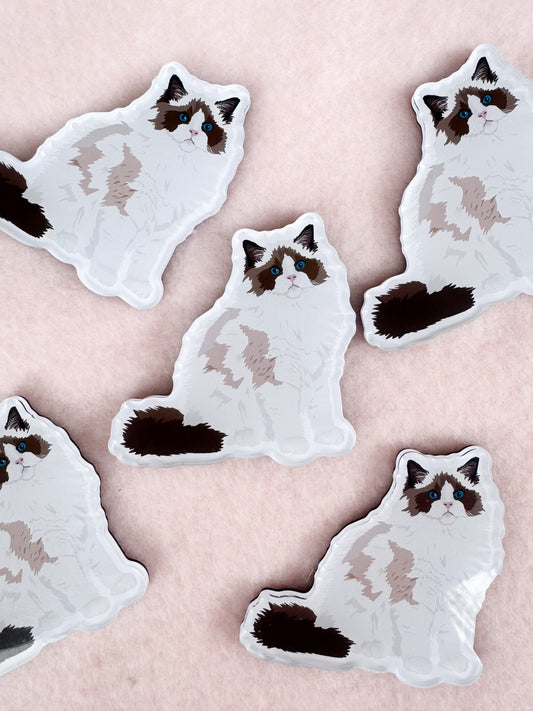 Ragdoll, Himalayan Magnet