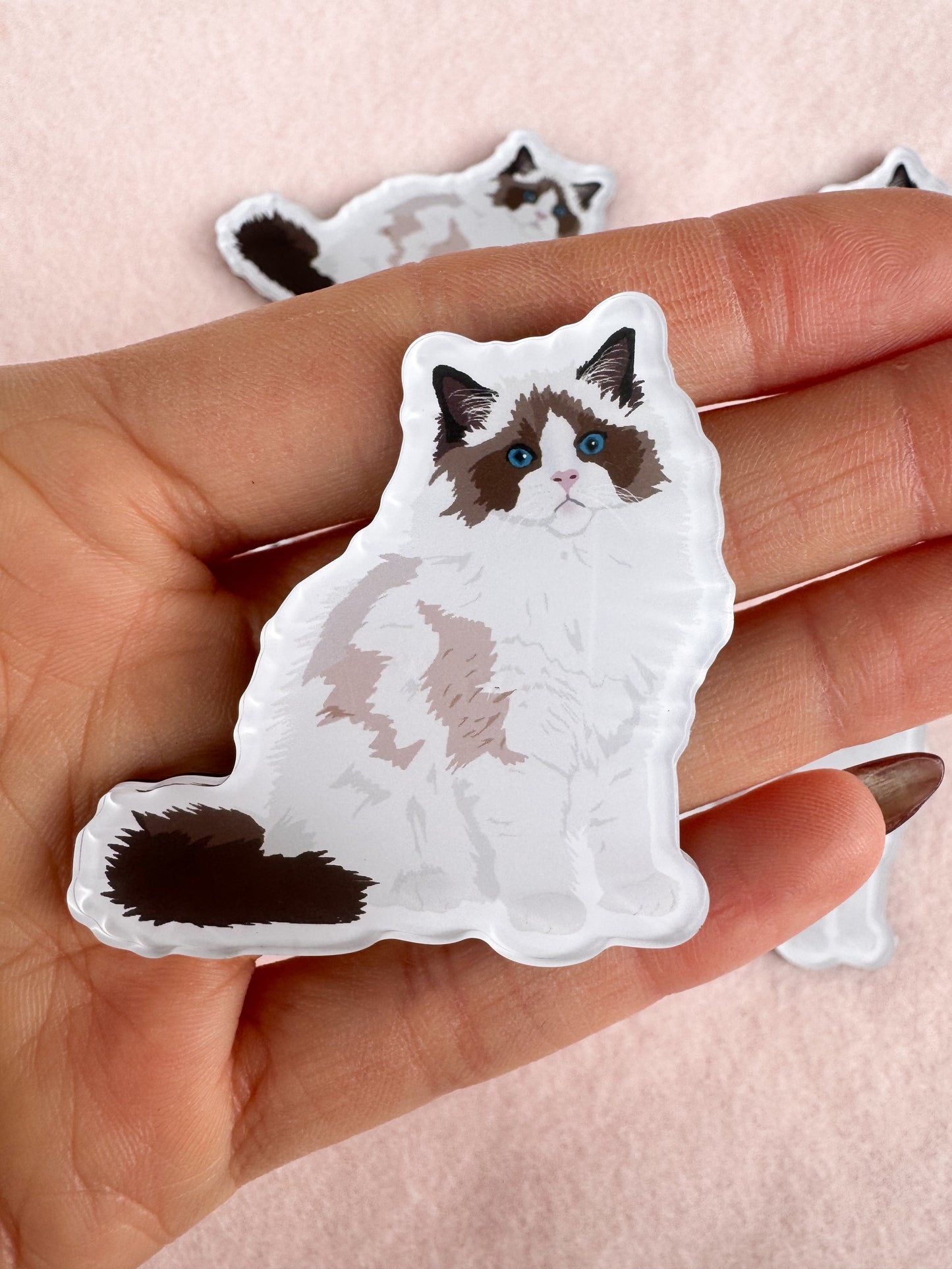 Ragdoll, Himalayan Magnet