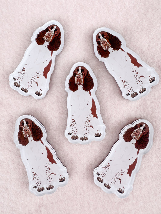 English Springer Spaniel Magnet