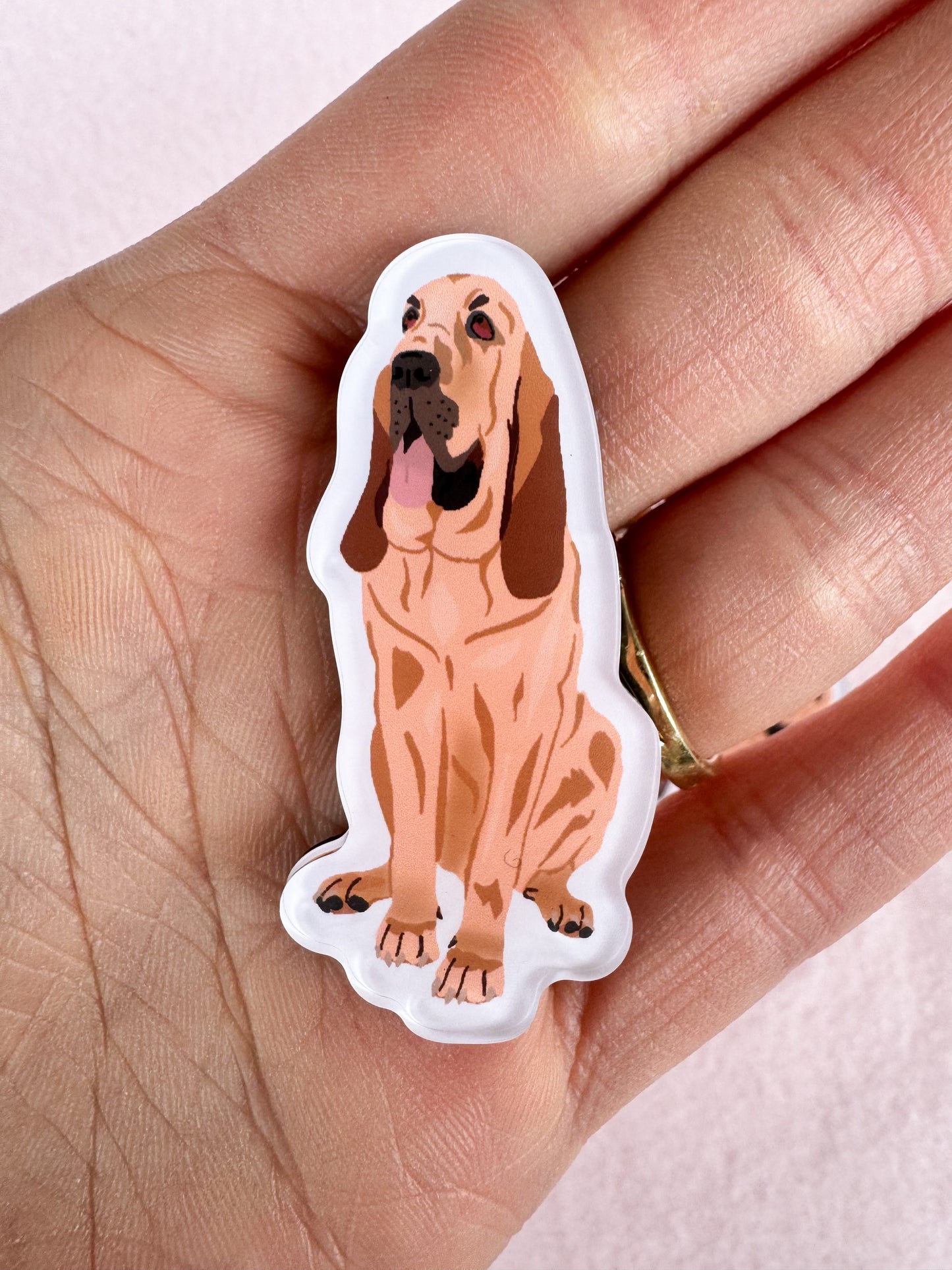 Bloodhound Magnet