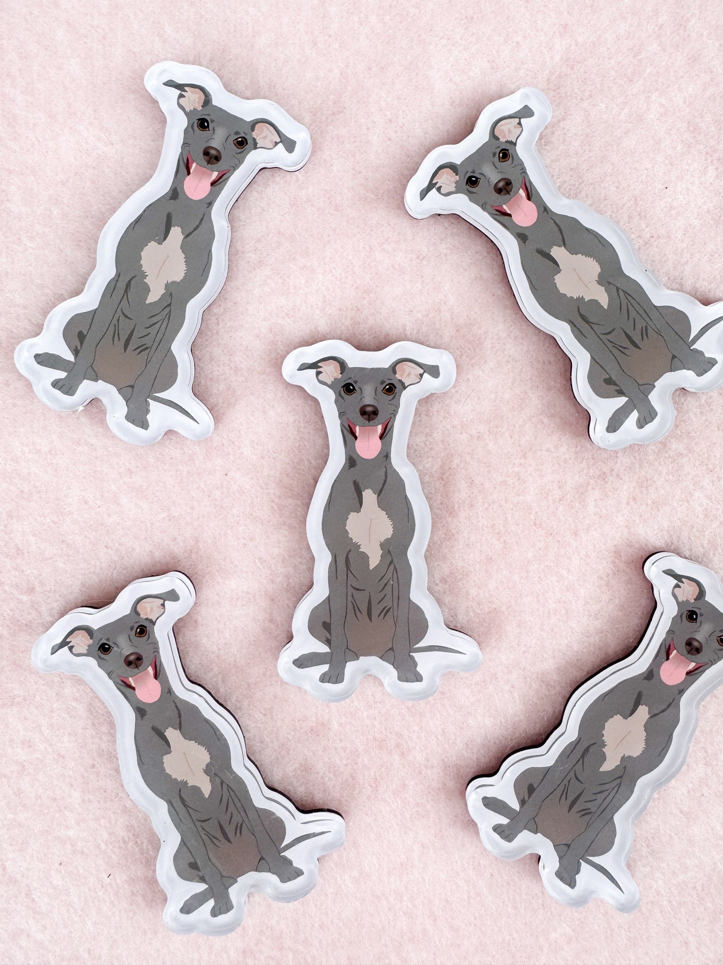 Italian Greyhound Magnet