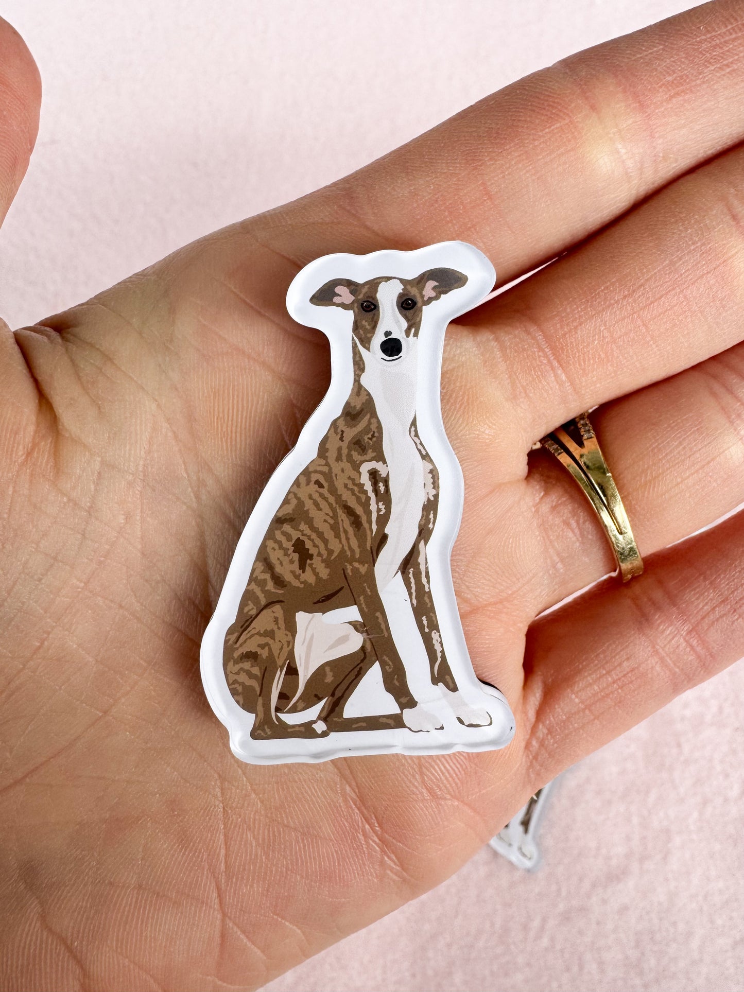 Greyhound Magnet
