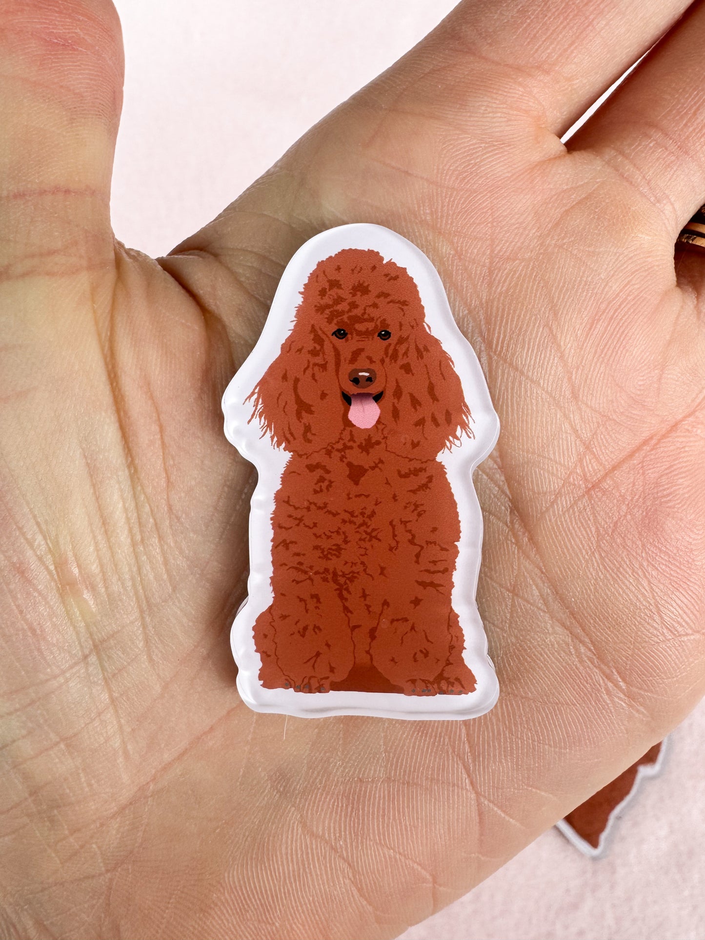 Poodle (red) Magnet
