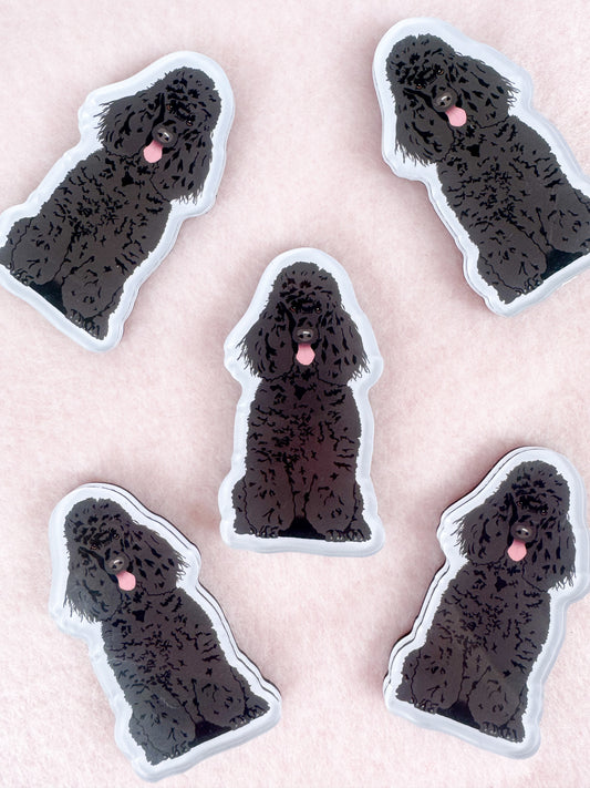 Poodle (black) Magnet