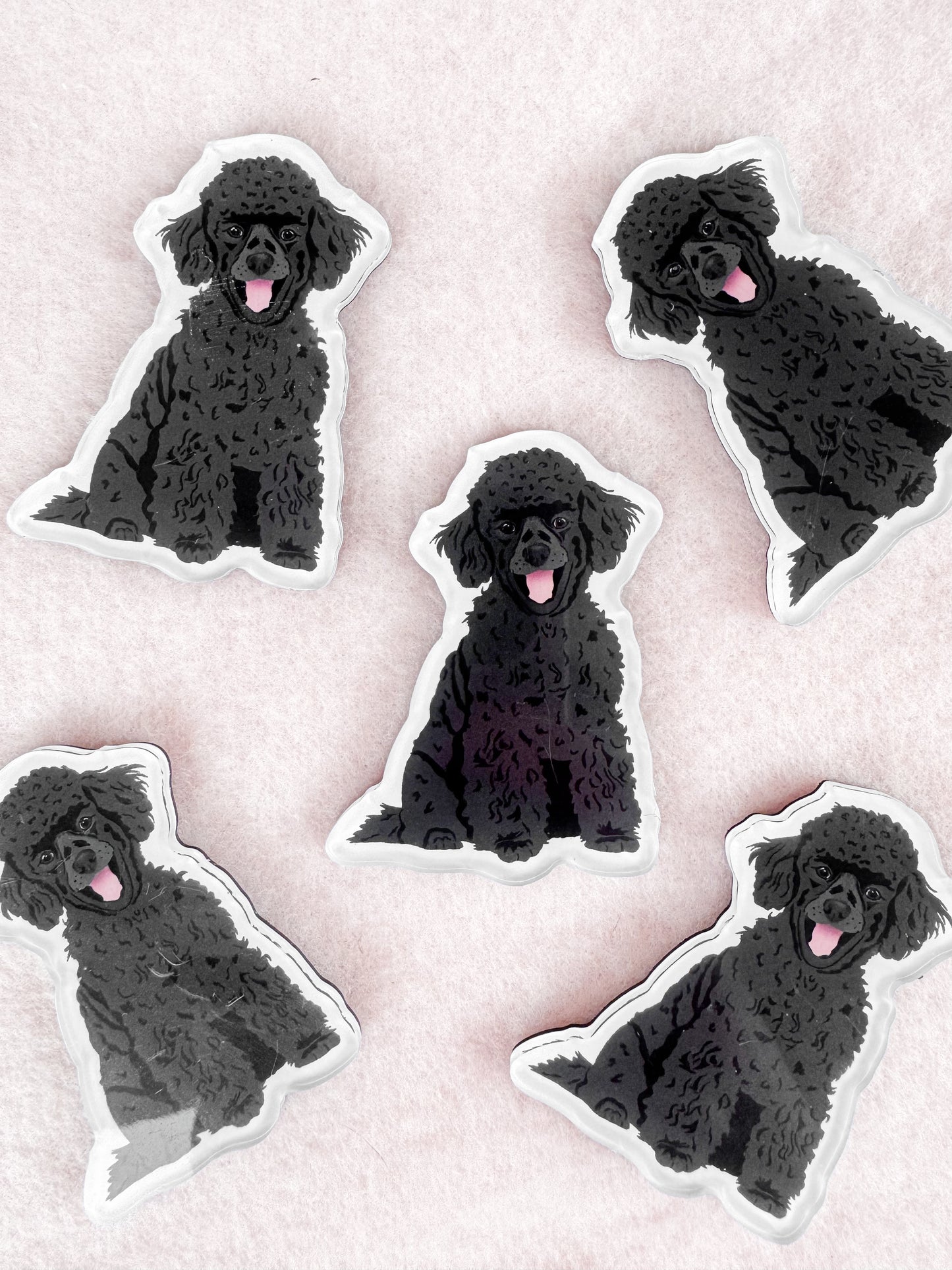 Mini Poodle, Toy Poodle (black) Magnet