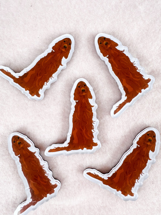 Irish Setter Magnet