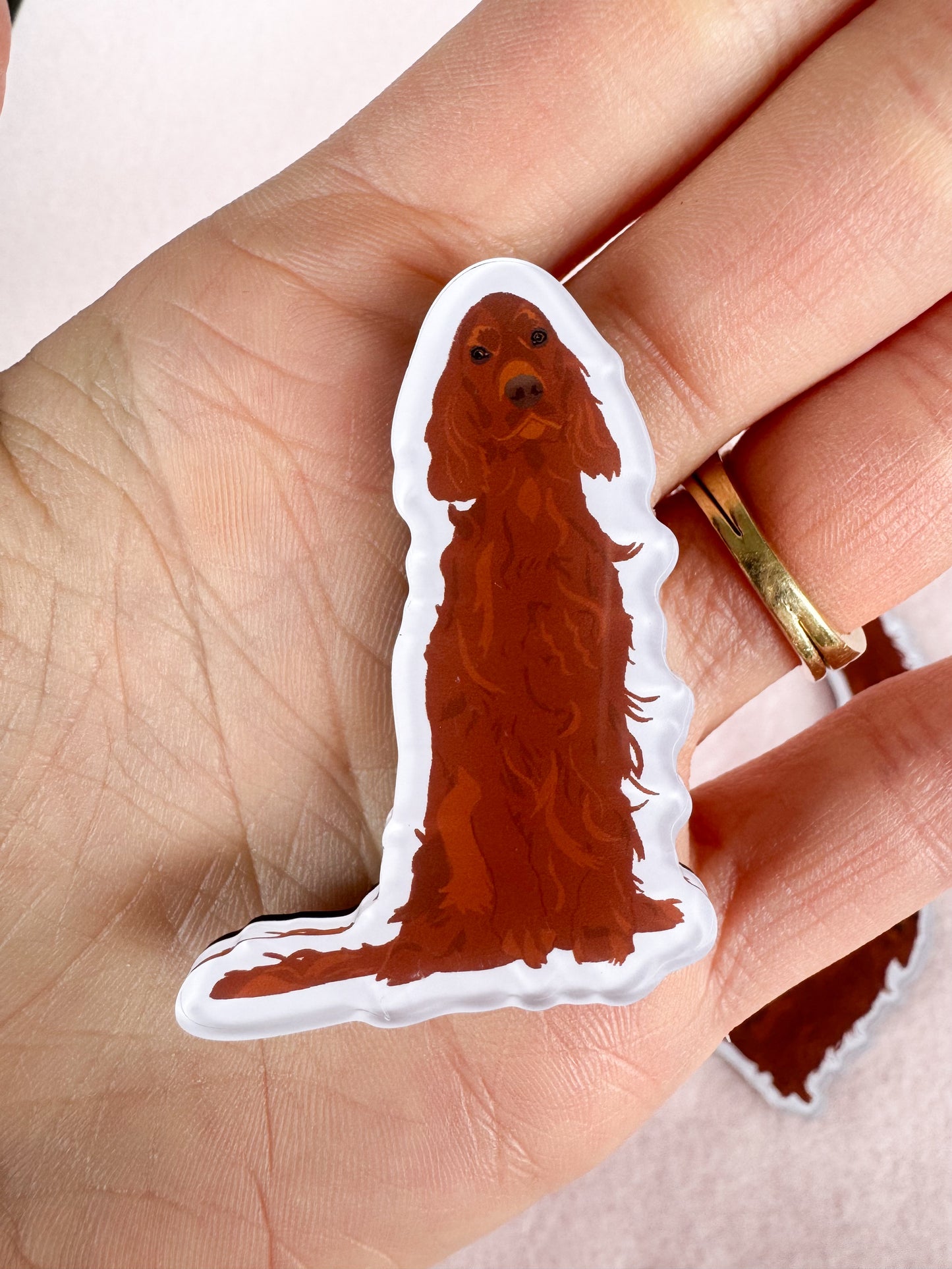 Irish Setter Magnet
