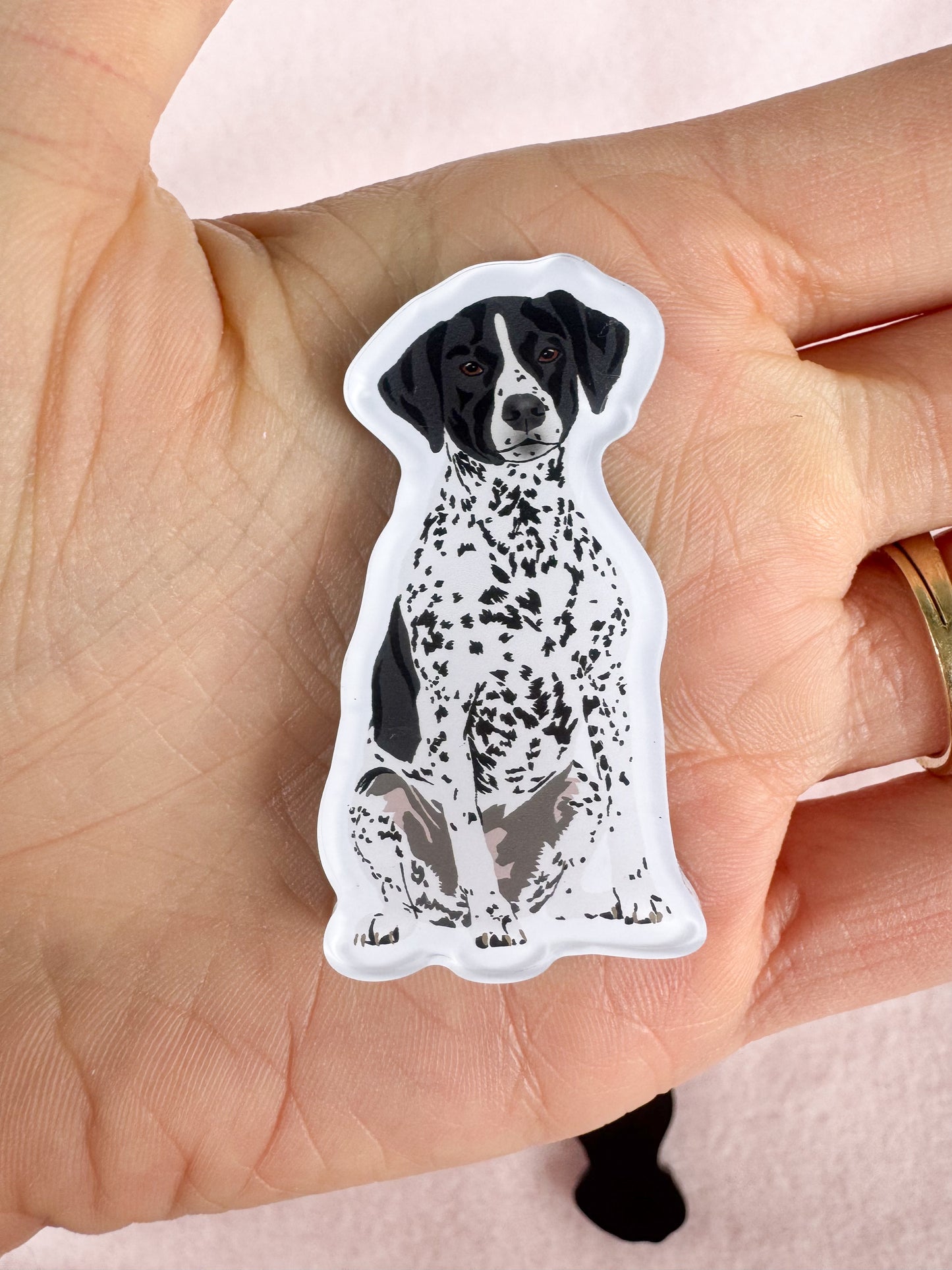 English Pointer Magnet