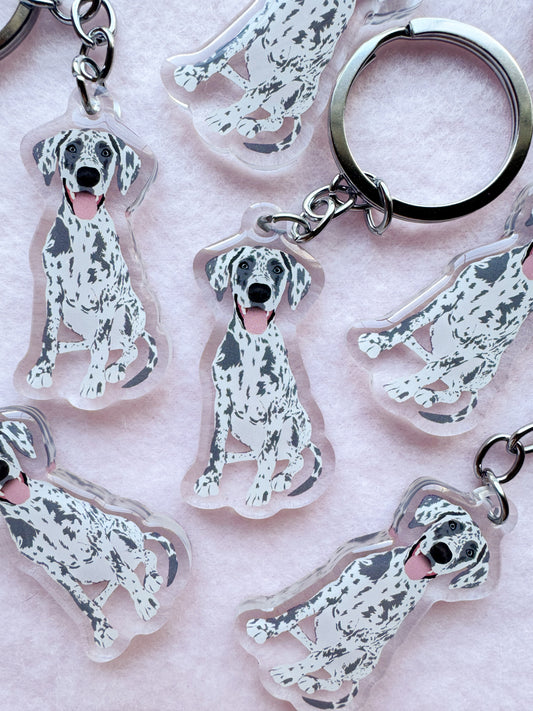 Great Dane (blue merle) Keychain
